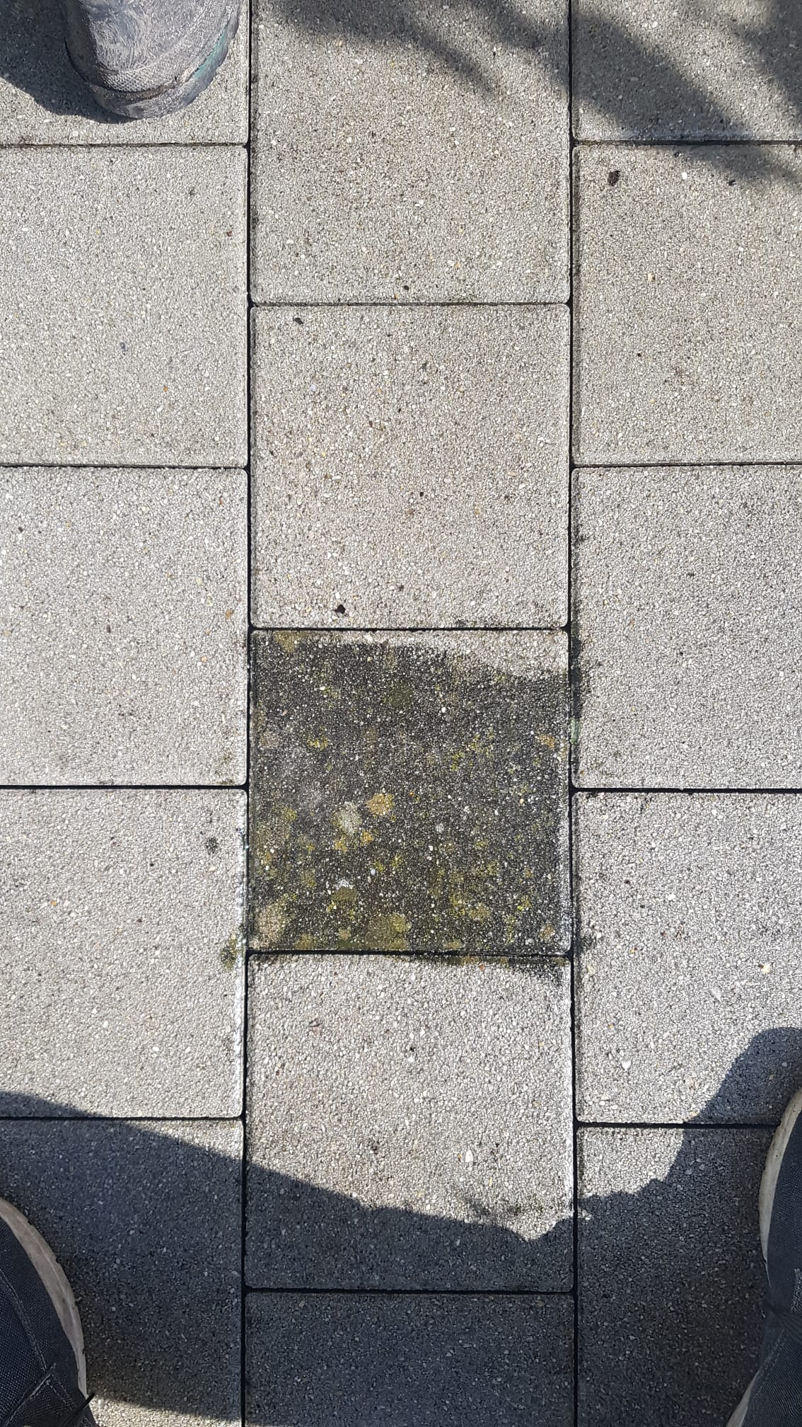Nachher: Porentiefe Steinreinigung